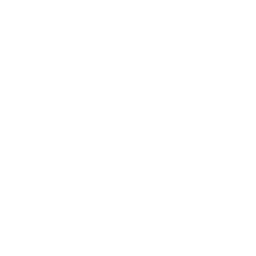 Autobus