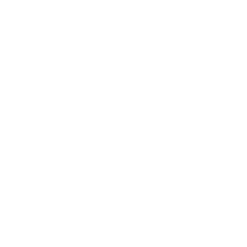 Partner 1